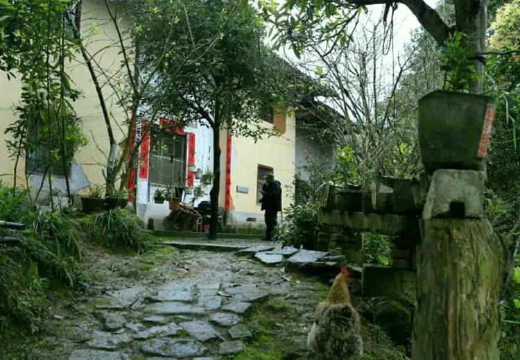阳春不愧是 江西文坛长青树  论个人风格他的 作品和为人尽显赣南客家风骨！