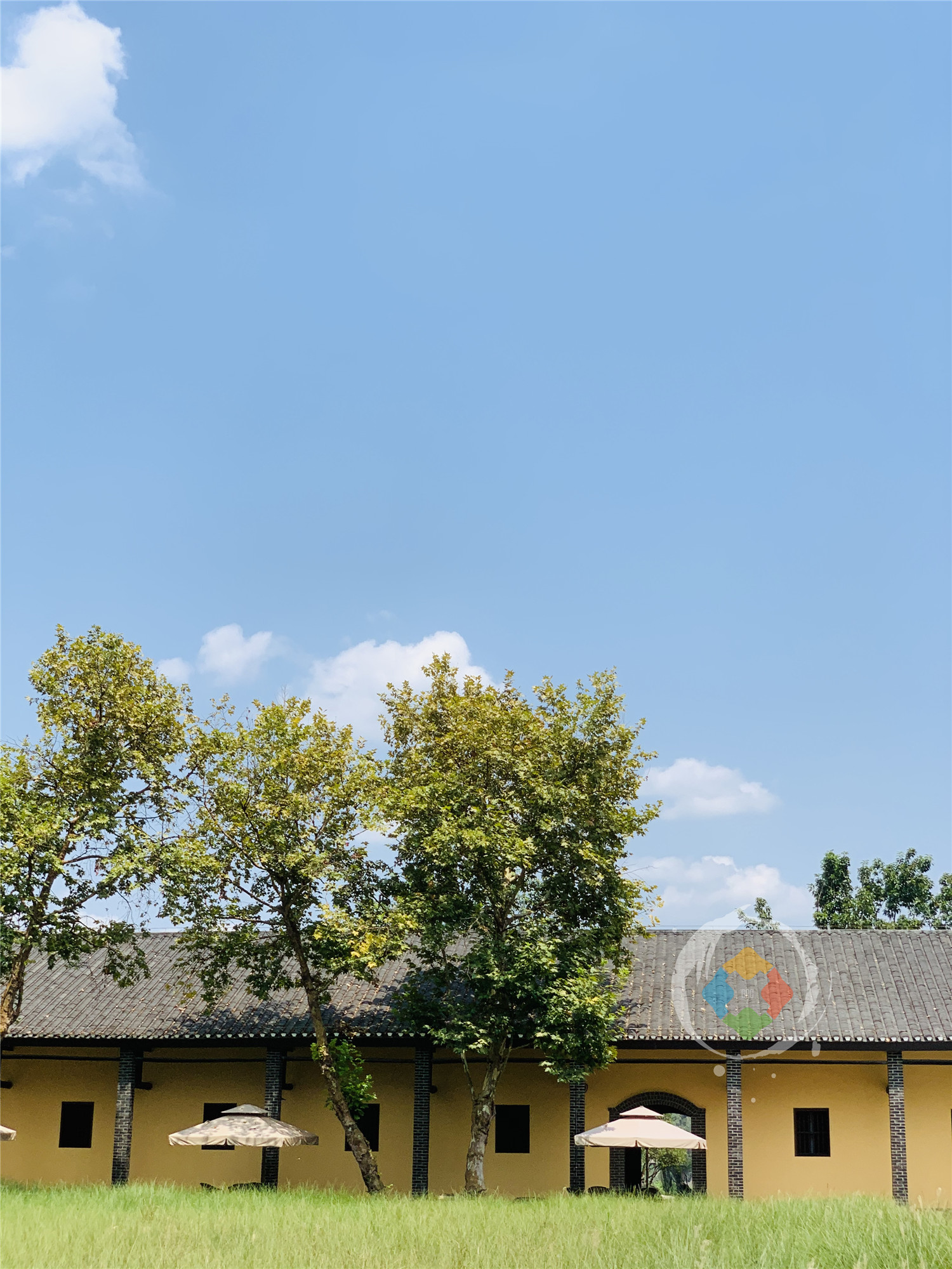 重庆广阳岛重新开放：入场免费，观光巴士只需10元，交通很便捷