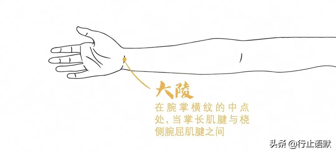 道醫 神奇的 鬼門十三針 療法 行止語默 Mdeditor