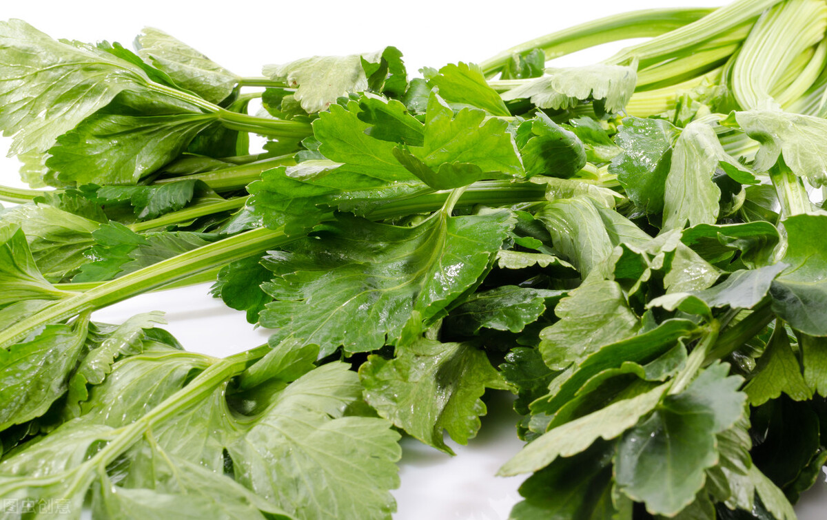 Do you know why you have to remove the leaves when you eat celery?Can