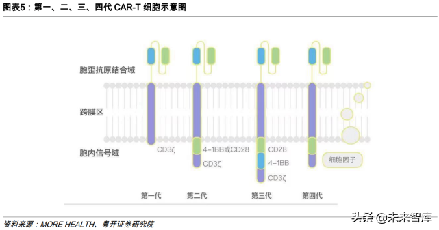 CAR-T细胞疗法专题研究：行远自迩，踔厉奋发