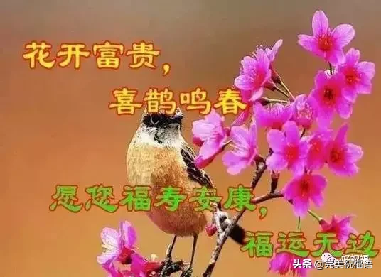 不管|初二早上好不管你身在何方 收到这份祝福你就是最有福的