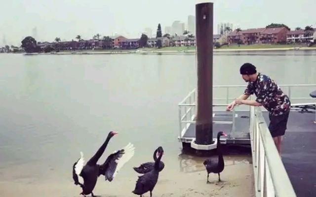 周杰伦深夜弹钢琴被指扰民，霸气回应：我家没邻居，谢谢