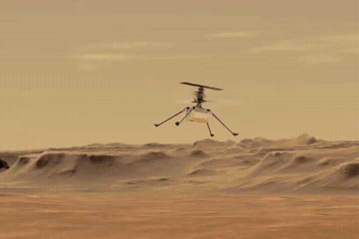 �ҹ�����ֱ�������࣬˫��������ҶƬ���΢�͹�����Ҳһͬ�Ƴ�