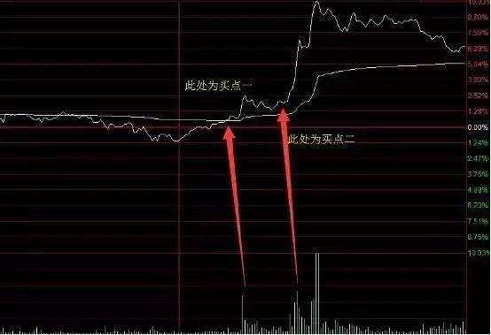 北大女博士罕见发声：如果有50万资金，高分红的