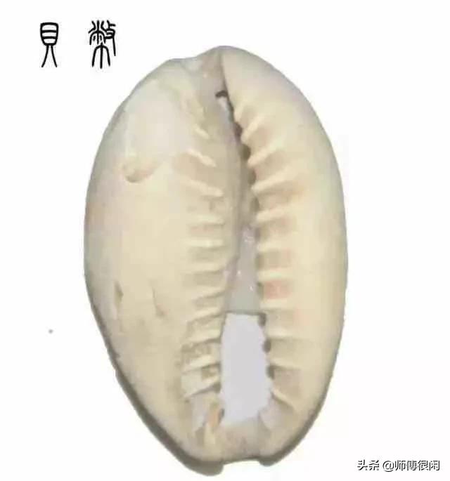 探秘!中国钱币之最,最值钱的竟被你忽略了