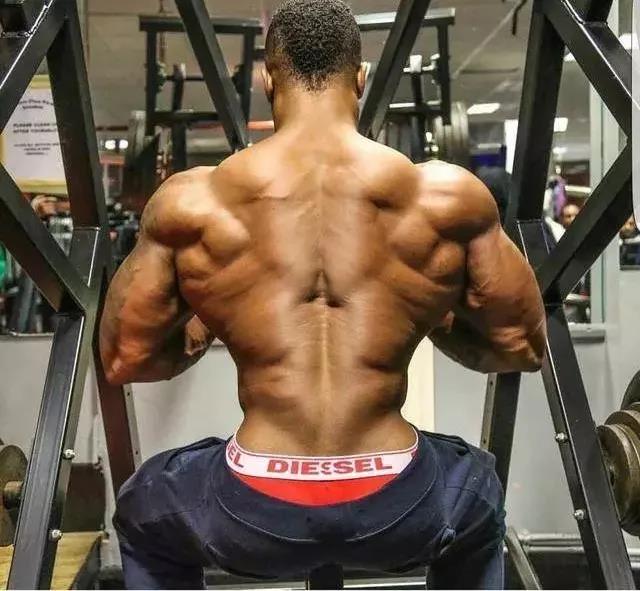 Before you develop a Christmas treelike back muscle shape, you must know the key points of back