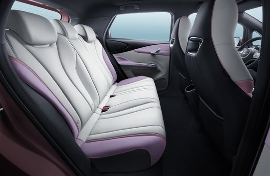 “十万级纯电精品”比亚迪海豚上市