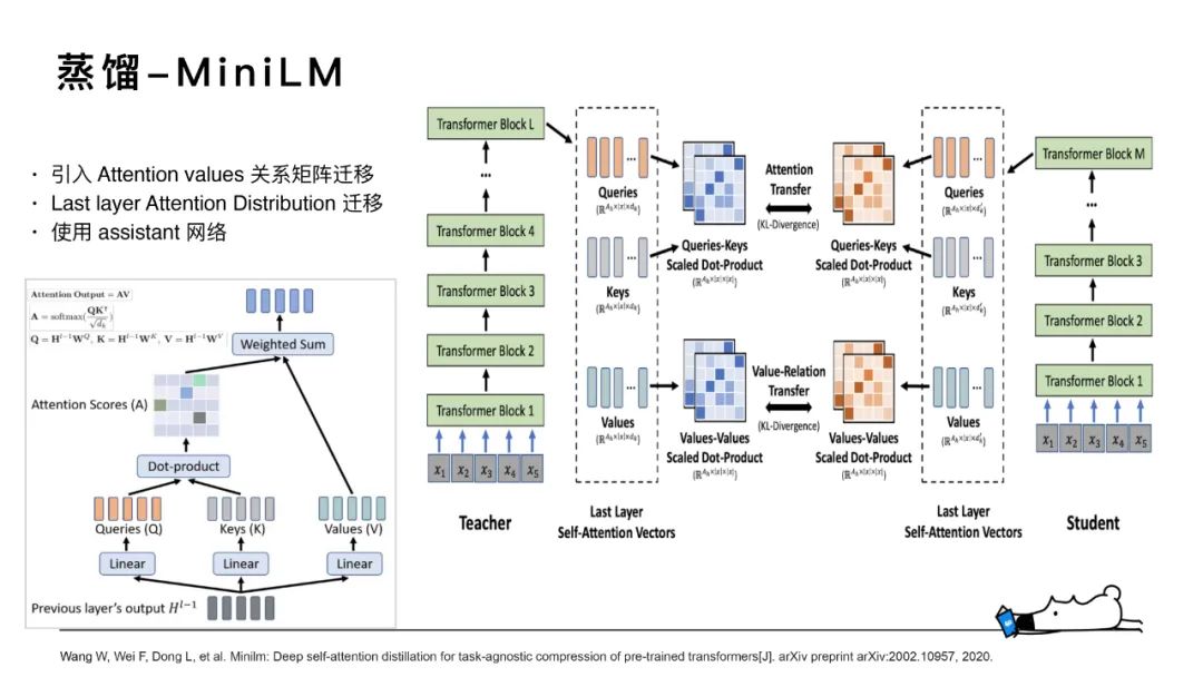 知乎搜索文本相关性与知识蒸馏