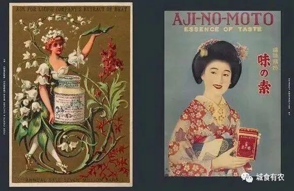 味精的迫害妄想症，鸡精的高级智商税