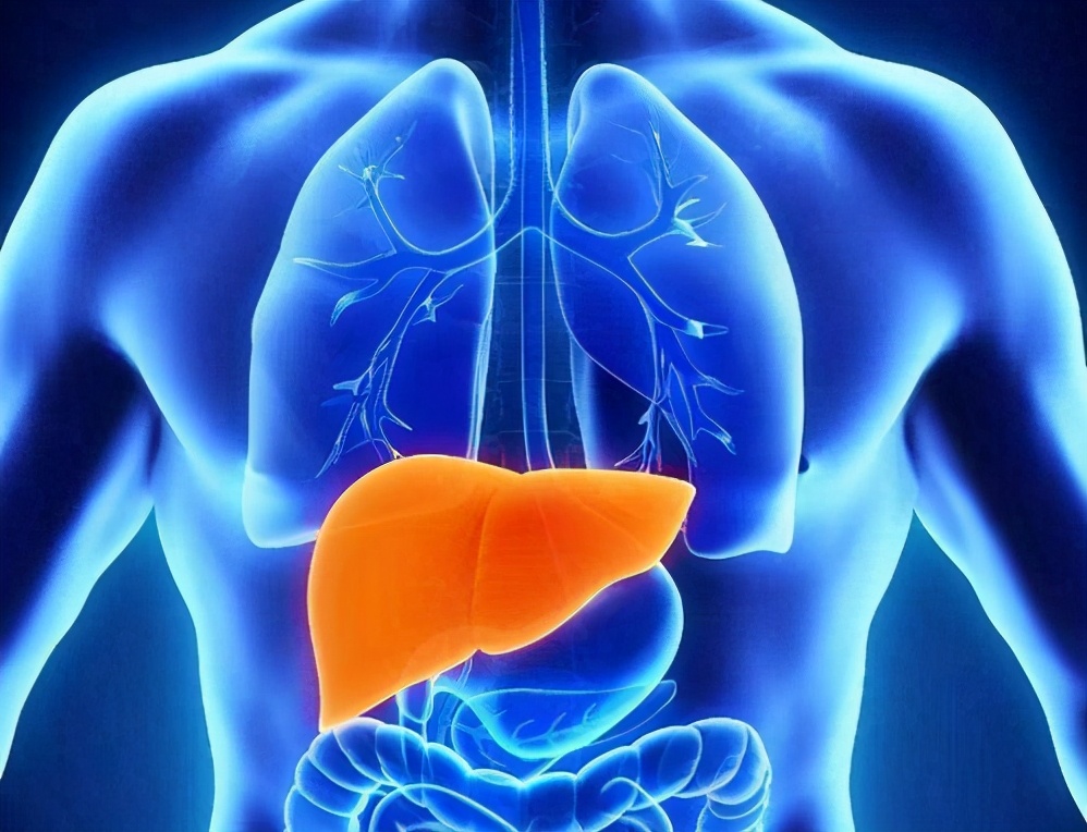 肝血足-命好；心血足-運好！ 養生還得養心肝心肝好百病除生