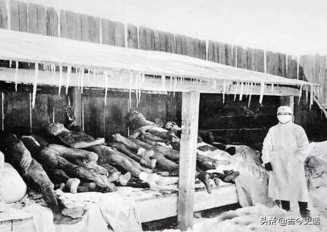黑死病在欧洲杀死2500万人，为什么在中国却没有大规模爆发