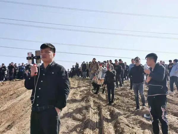 大河报汽车网