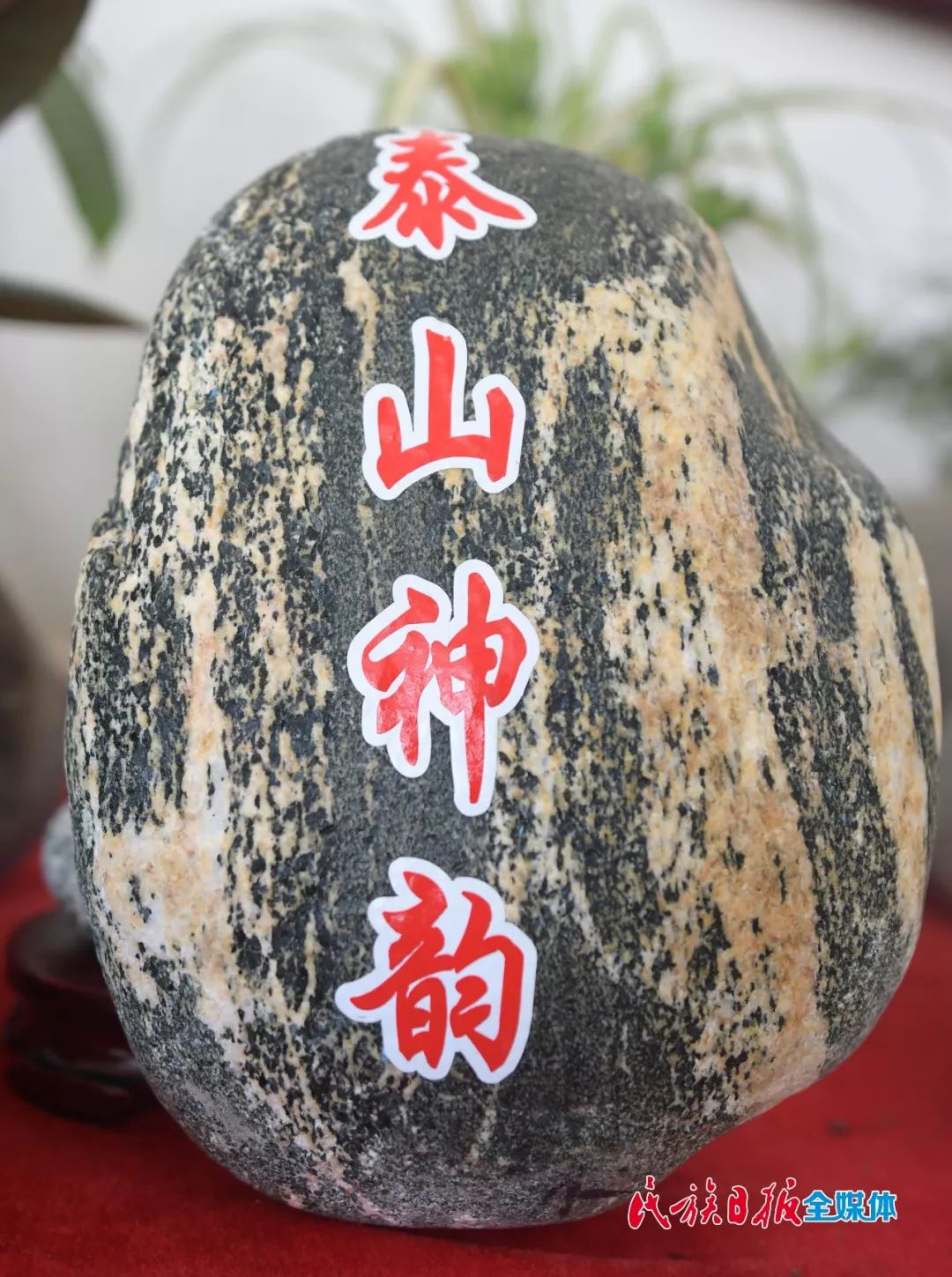 岷县洮砚大王赵成德情定河州引发国内热议