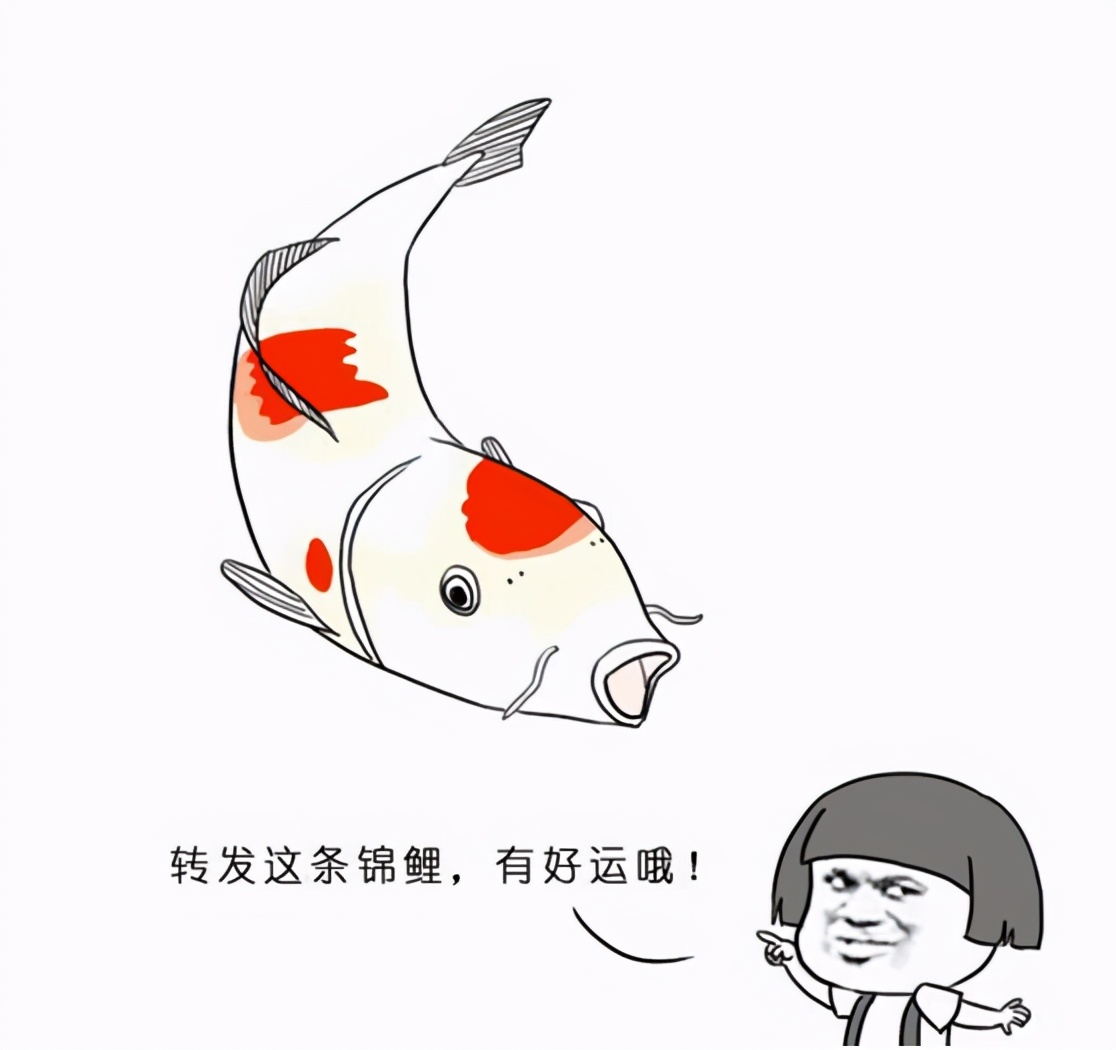 阿列克谢大叔带着rap回来了，你不来看看吗