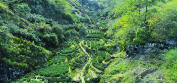 人均300+这个避暑胜地堪称“中国最美后花园”，