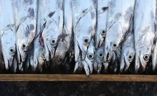 爱吃鱼的人注意了，什么鱼能吃什么鱼不能吃您知道吗？