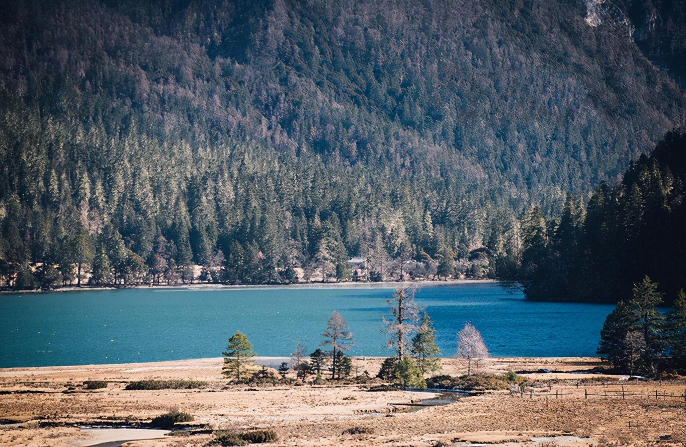 适合夏季自驾的4条路线，沿途风景美上天，6-8月出发刚刚好