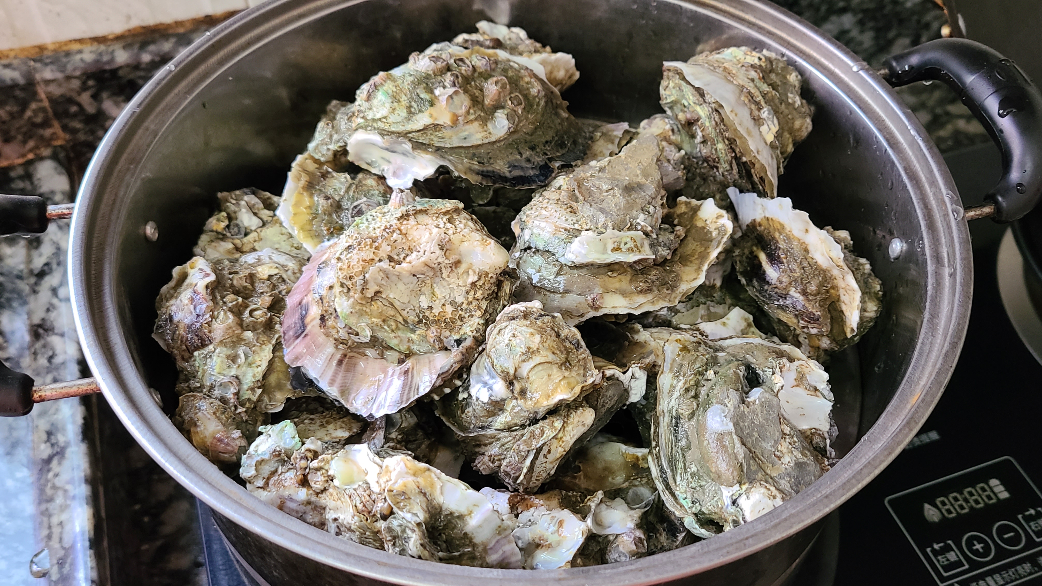 廣式炒生蠔原來這麼好吃，家常做法味道鮮美，看著就饞了