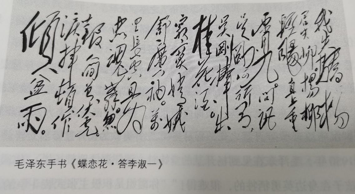 让毛泽东深爱一生的女人，她到底是一个怎样的人？-第3张图片-大千世界