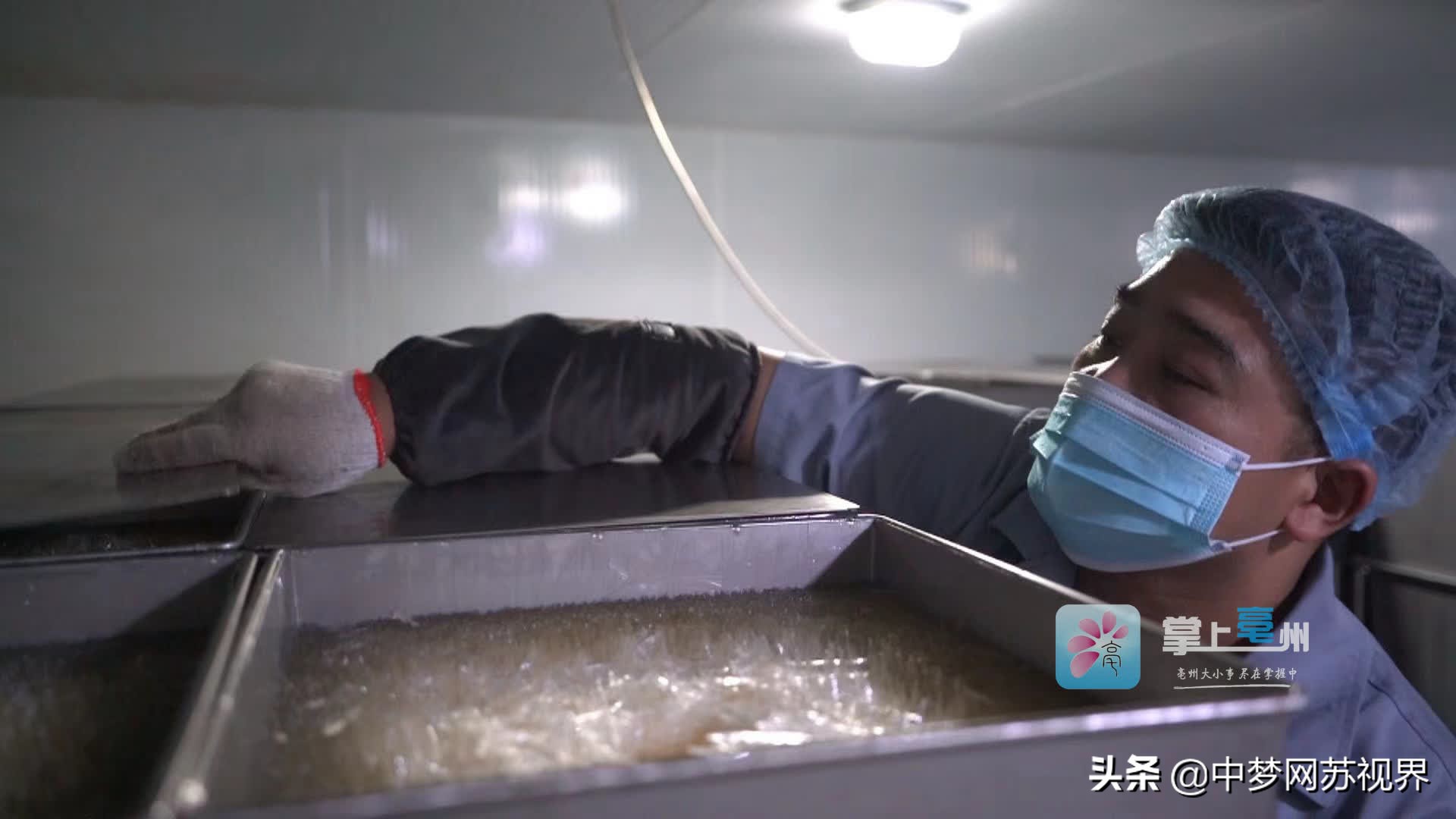 构建全产业链体系 建设“世界中医药之都”