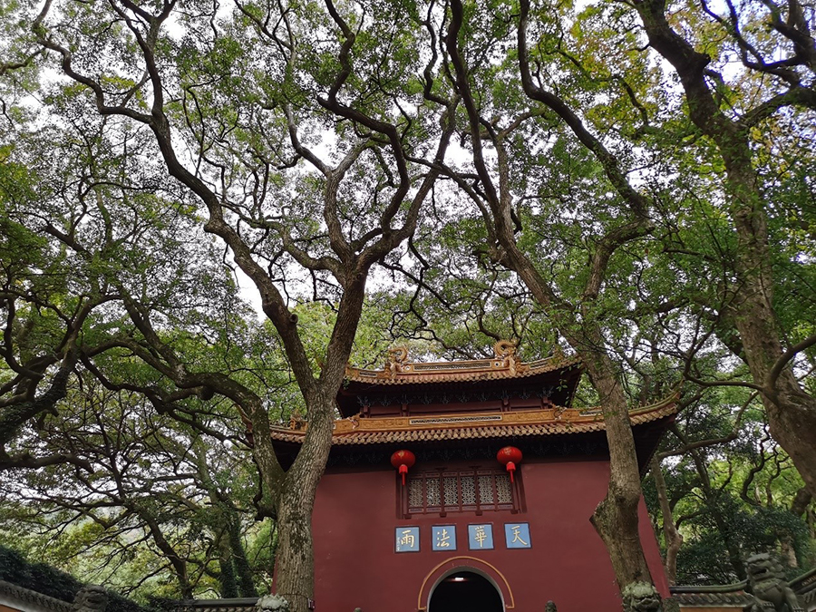 “海天佛国”普陀山朝圣见闻录