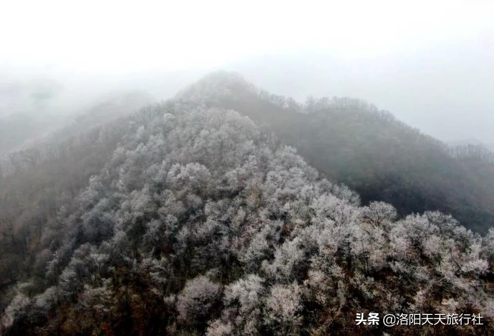 看在洛阳冬季有这么多好玩的，你就留下来过年吧