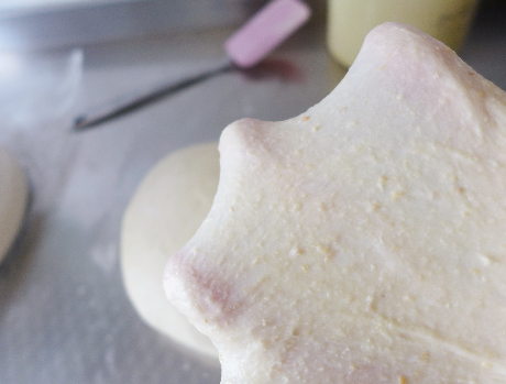 图片[4]-自制超软牛奶餐包 5个步骤就做好 容易出膜 放一星期也不硬-起舞食谱网