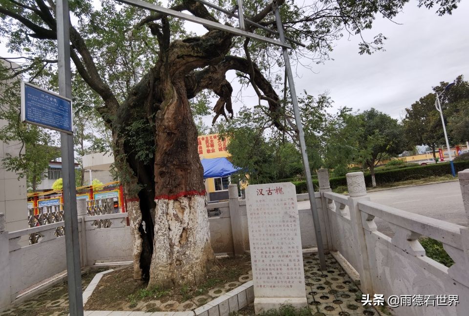 汉光武帝刘秀故里真在南阳，瓦店镇古白水村千年古树见证东汉故事