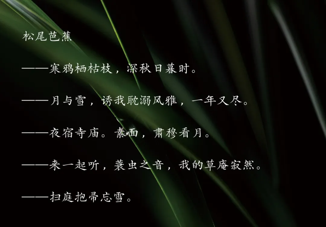 “牵牛花，一朵深渊色。”——有一种短诗，叫俳句