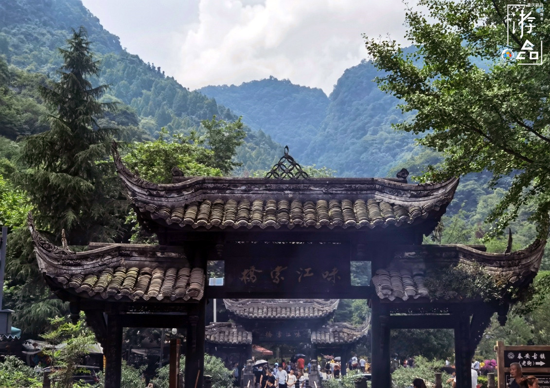 重庆籍游客专属福利，免费游览青城山，成都人常去的后花园