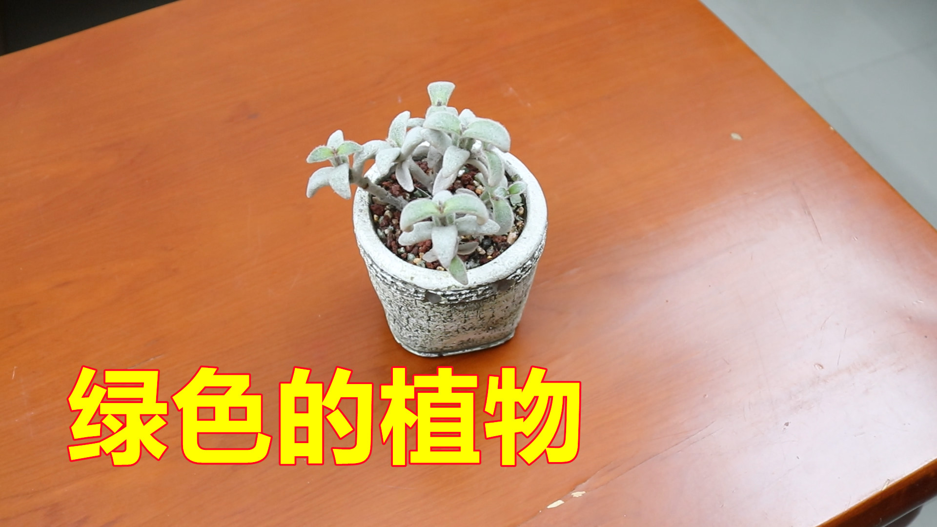 生活知識：家里的茶幾不要長時間擺放3類物品