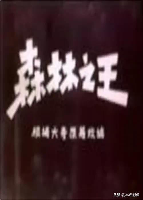 五十年代国产电影大全(1959)