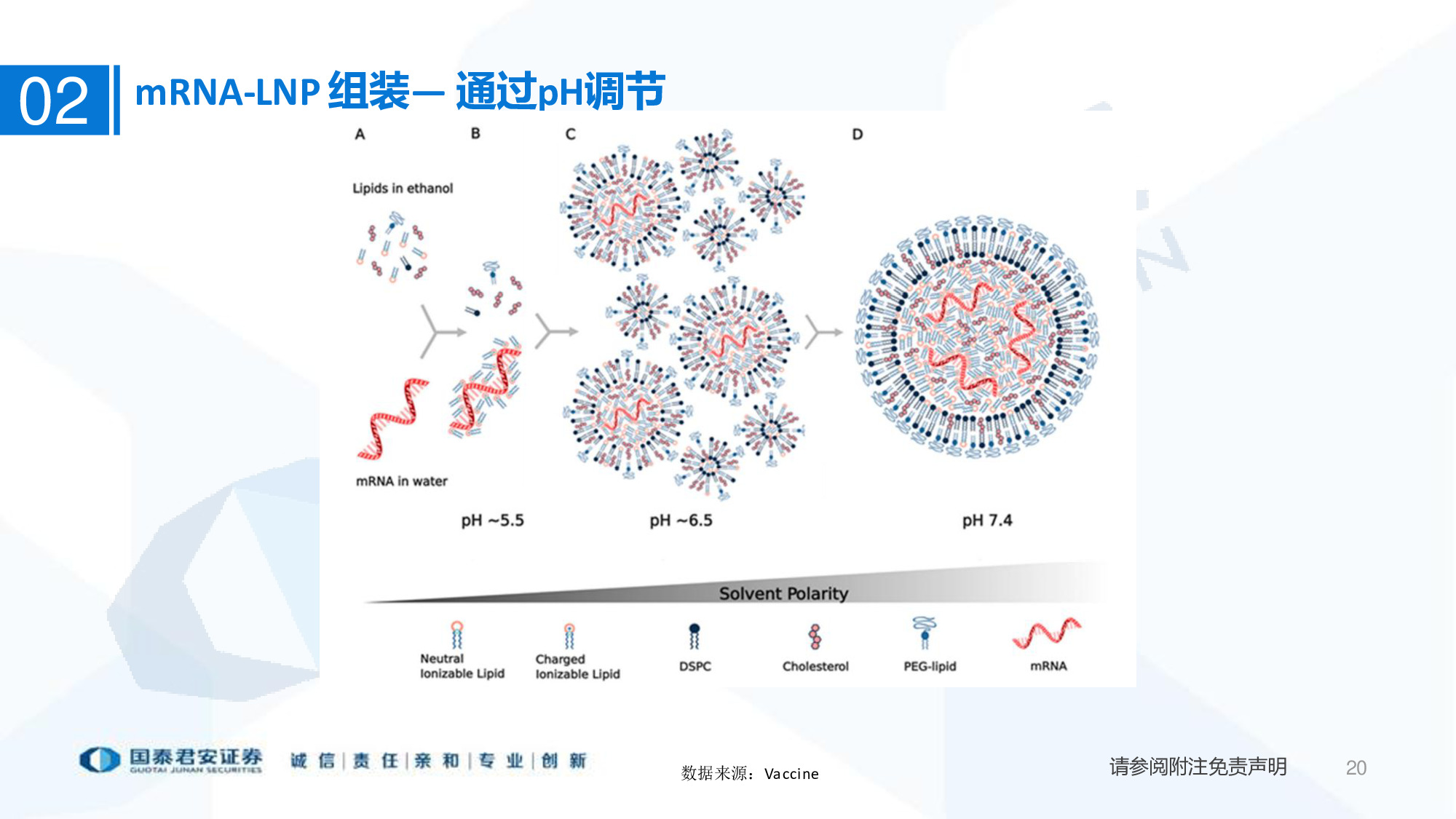医药行业专题报告：mRNA供应链或迎爆发