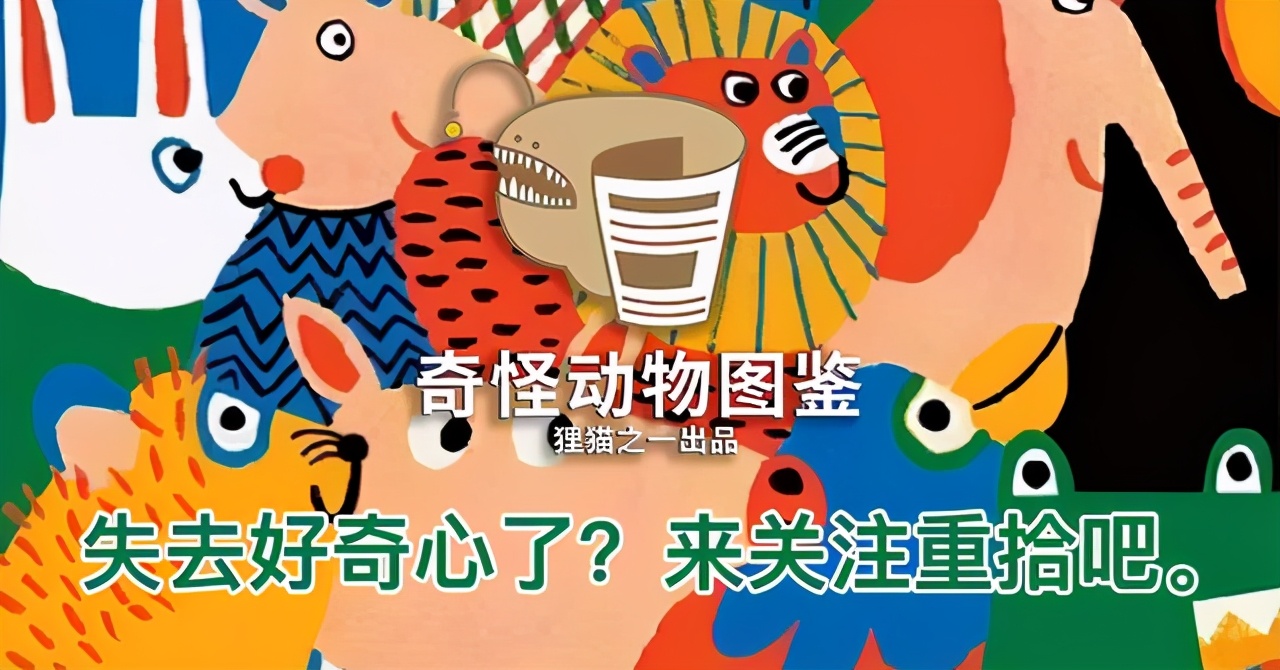 成群江豚上演冲浪比赛，禁渔的成果来了？细数江豚的坎坷历史