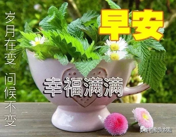 早安图片带字温馨图片 早上好动态图片带字图片