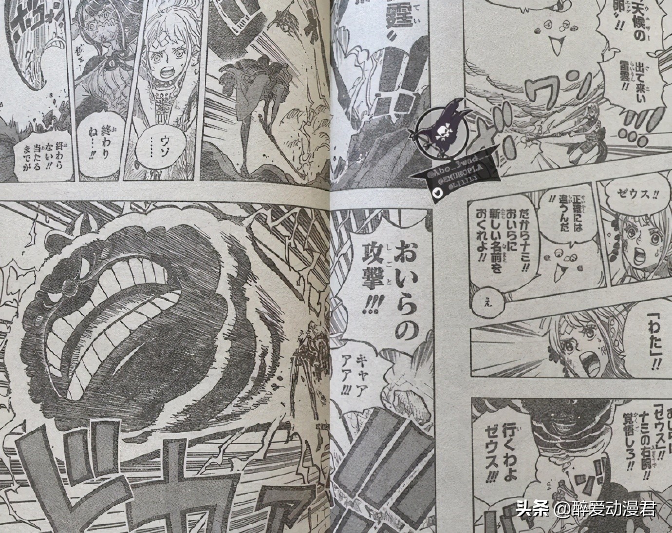 海賊王1016話日版 娜美降服宙斯 反殺再次甦醒的烏爾緹 醉愛動漫君 Mdeditor