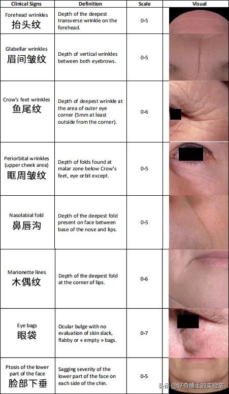淦！原来上班真的会让人变丑