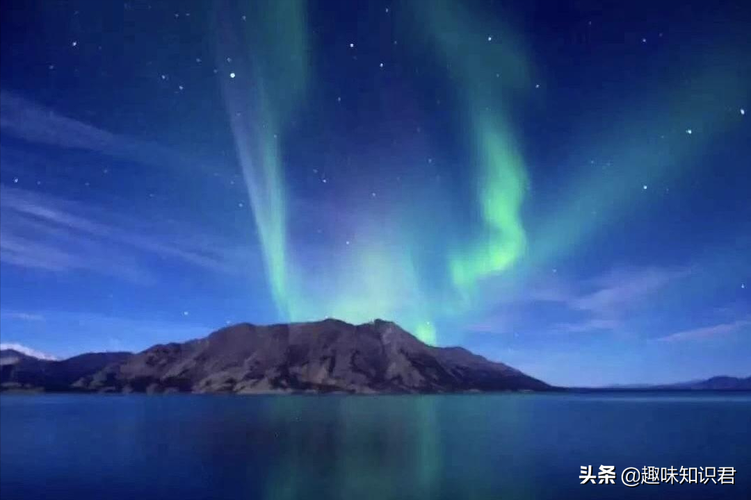 盤點世界上各種有趣冷星空体育官网入口网站