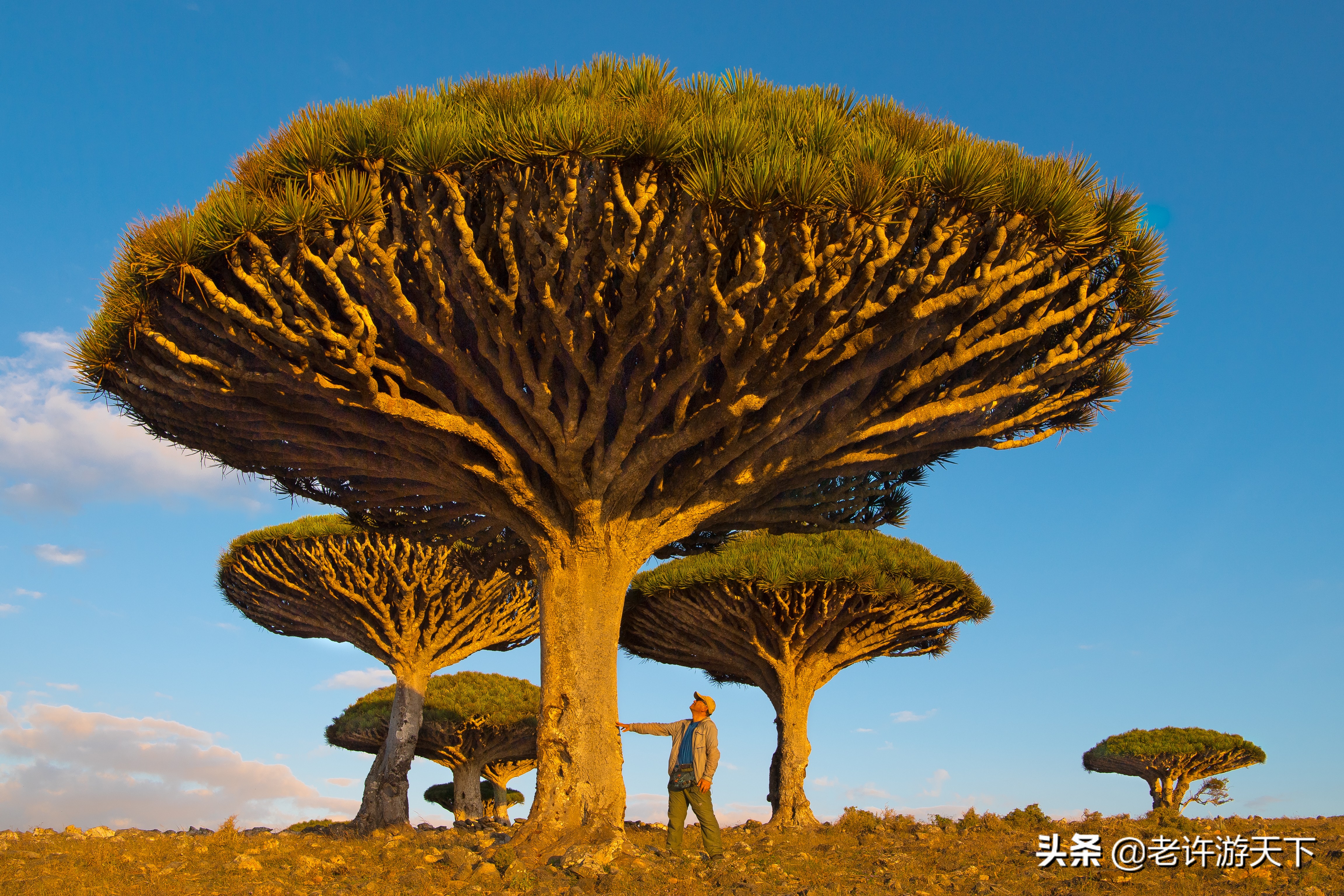 世界上最難去的10個(gè)國(guó)家和地區(qū)，邁過(guò)這些坎，周游世界就不是問(wèn)題