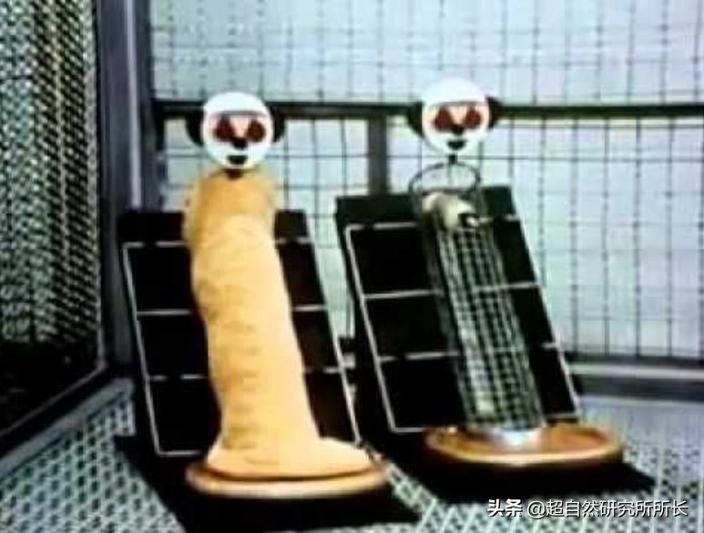 三個直擊你心靈的實驗，請直麵你的內心