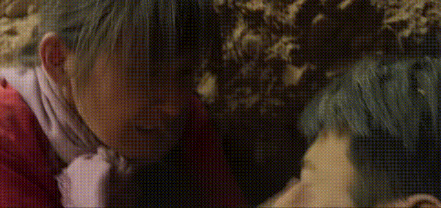 《江山如此多娇》撞上《山海情》，四个细节一