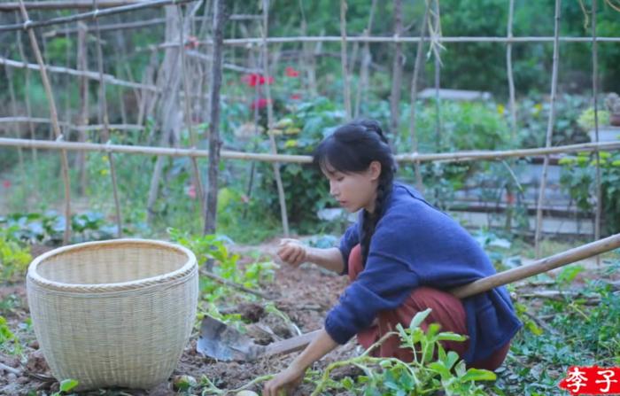 李子柒因土豆上热搜，注意力却在她的裤子上，这眼神怕不是显微镜