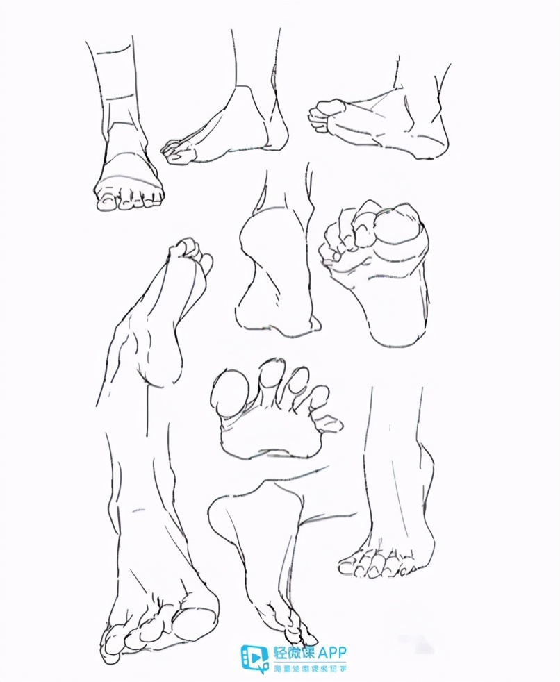 脚的结构画法!