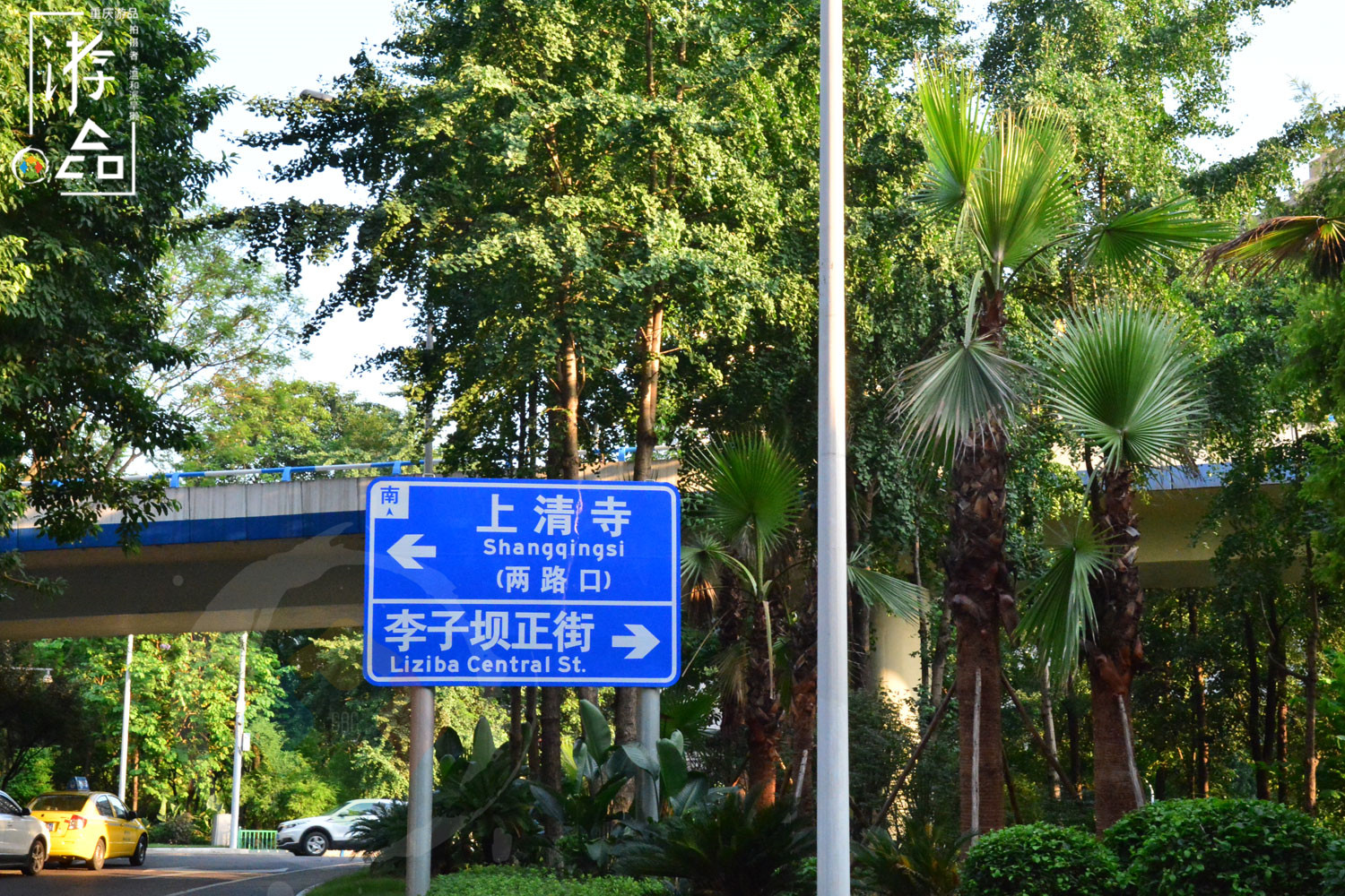 因祸得福的重庆奇遇：被赶下公交后，我发现了牛角沱的美