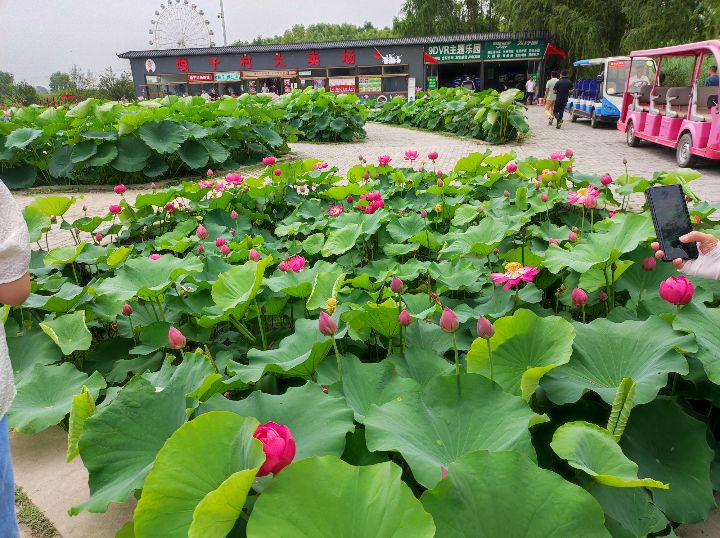 我迷上了今日头条