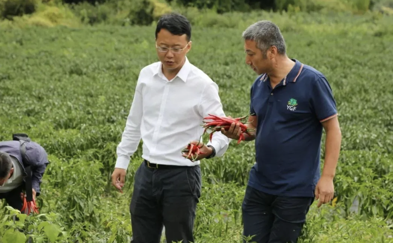 这个东北人创业卖四川麻辣烫，开了6000家门店，