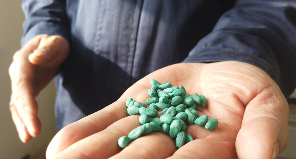 BCI " fall out " , h&M out of service: Xinjiang cotton encounters " bright gun " with " dark battle "