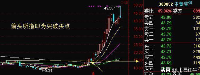 “周线选股”才是股市唯一生存法则