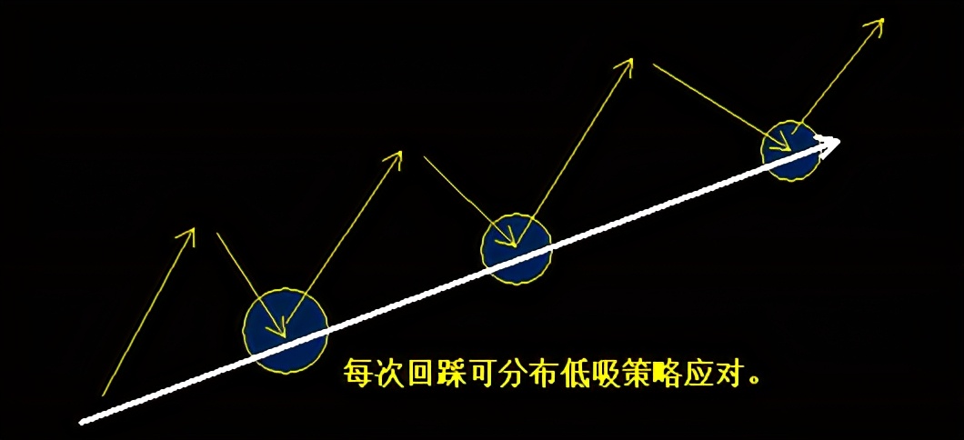 生物医药节前的盘中分时快速跳水，场内资金筹码松动现象显露
